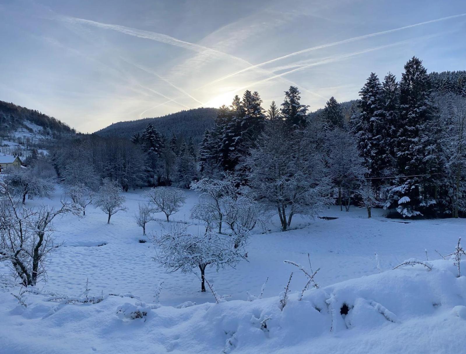 Chalet Notre Retraite Ventron Luaran gambar