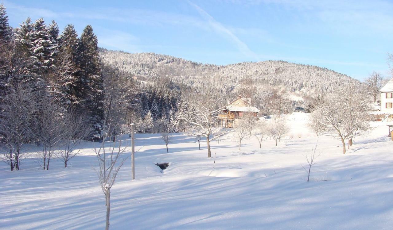 Chalet Notre Retraite Ventron Luaran gambar